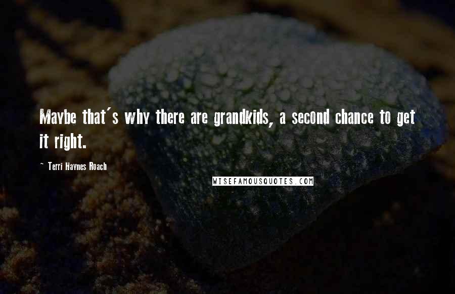 Terri Haynes Roach quotes: Maybe that's why there are grandkids, a second chance to get it right.
