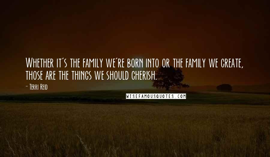 Terri Reid quotes: Whether it's the family we're born into or the family we create, those are the things we should cherish.