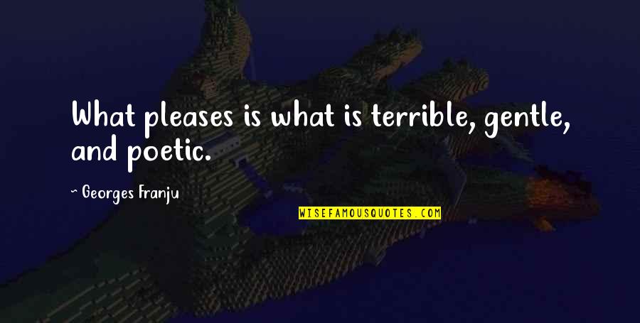 Terrible Inspirational Quotes By Georges Franju: What pleases is what is terrible, gentle, and