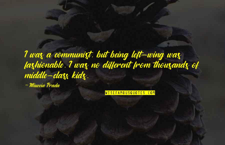 Terrific Morning Quotes By Miuccia Prada: I was a communist, but being left-wing was