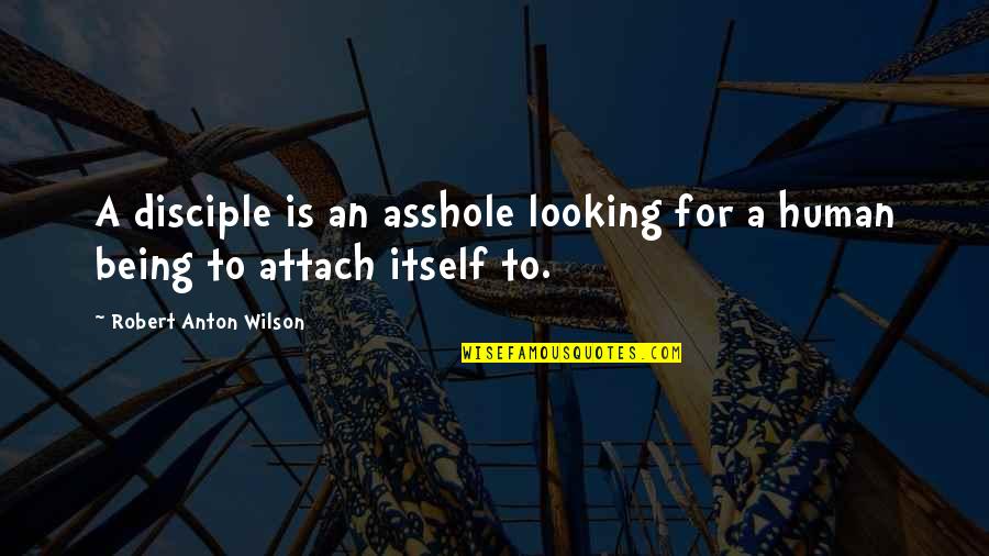 Terrifying Chilling Quotes By Robert Anton Wilson: A disciple is an asshole looking for a Terrifying Chilling Quotes By Robert Anton Wilson: A disciple is an asshole looking for a