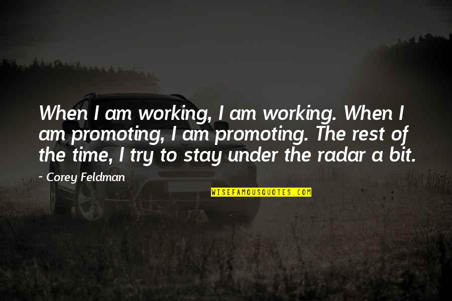 Terrifying Presence Quotes By Corey Feldman: When I am working, I am working. When