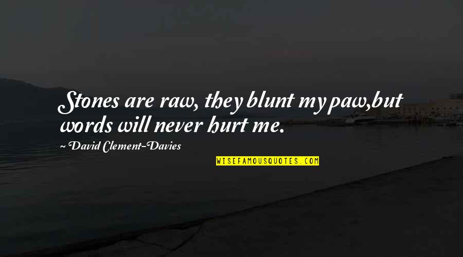 Terrifying Sad Quotes By David Clement-Davies: Stones are raw, they blunt my paw,but words Terrifying Sad Quotes By David Clement-Davies: Stones are raw, they blunt my paw,but words