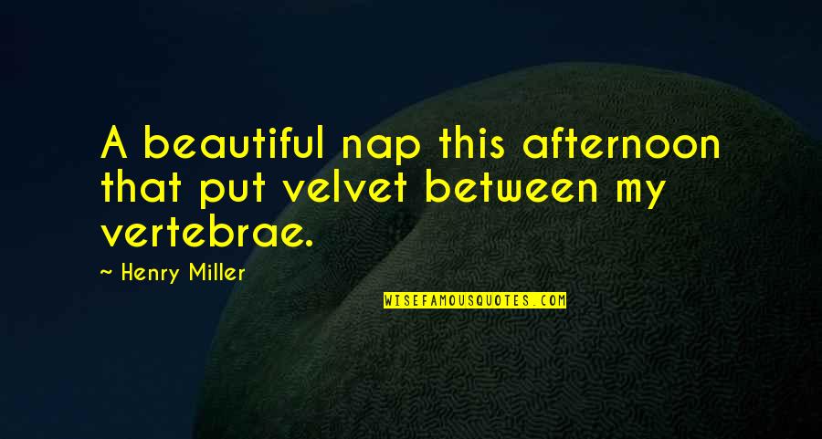 Territory In Ferndale Quotes By Henry Miller: A beautiful nap this afternoon that put velvet
