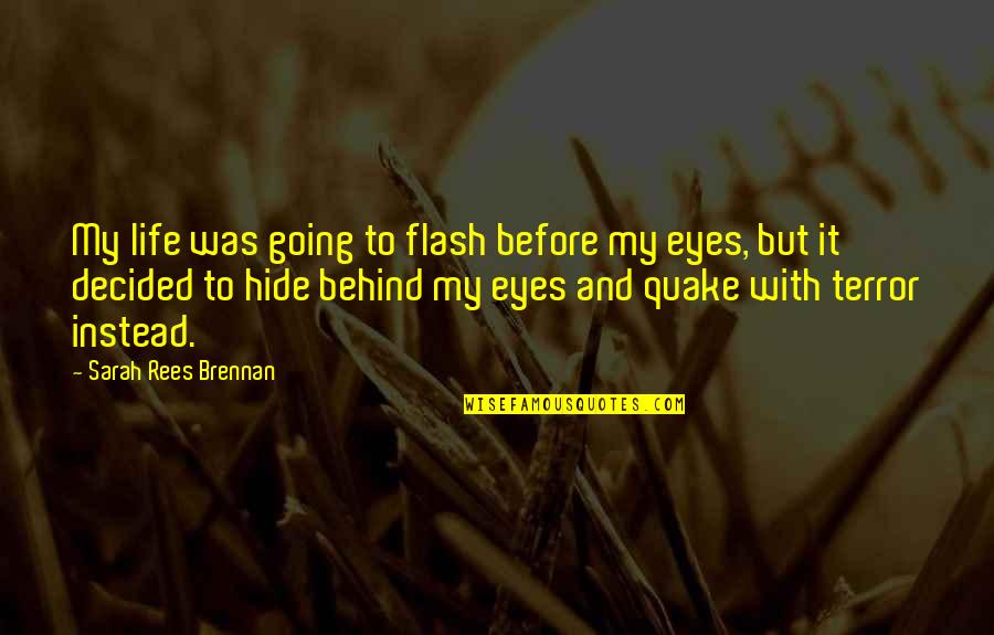 Terror And Fear Quotes By Sarah Rees Brennan: My life was going to flash before my