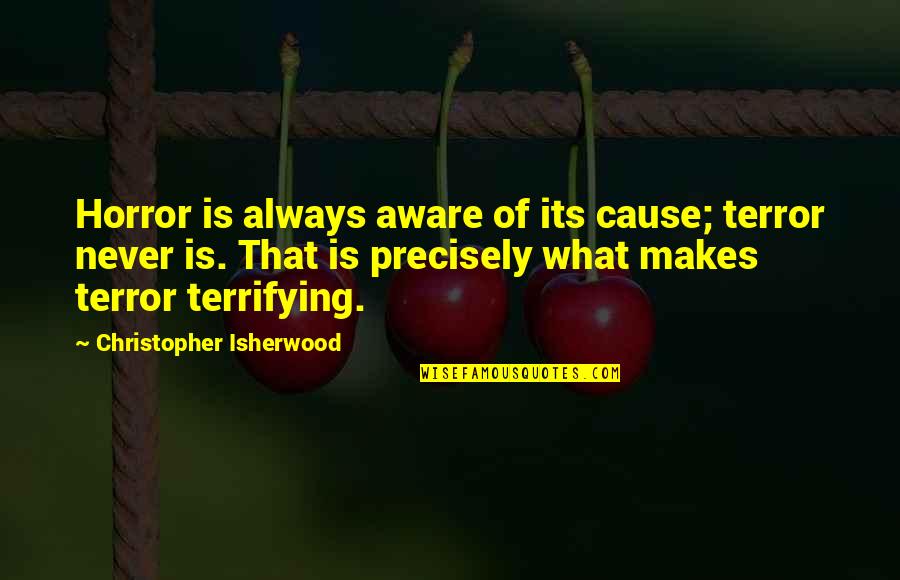 Terror And Horror Quotes By Christopher Isherwood: Horror is always aware of its cause; terror