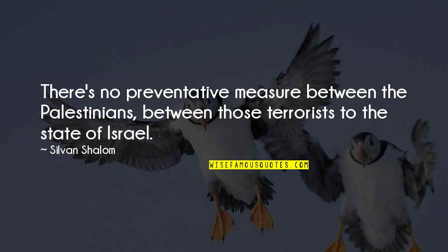 Terrorists Quotes By Silvan Shalom: There's no preventative measure between the Palestinians, between