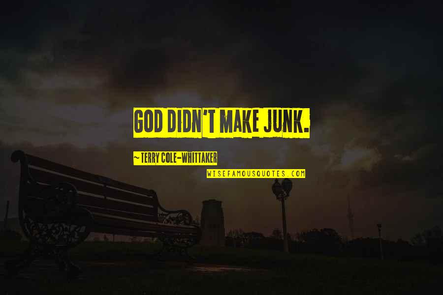 Terry Cole Quotes By Terry Cole-Whittaker: God didn't make junk.
