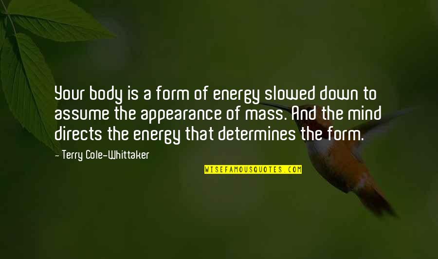 Terry Down Quotes By Terry Cole-Whittaker: Your body is a form of energy slowed Terry Down Quotes By Terry Cole-Whittaker: Your body is a form of energy slowed