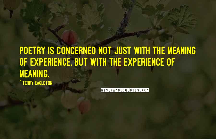 Terry Eagleton quotes: Poetry is concerned not just with the meaning of experience, but with the experience of meaning.