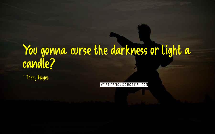 Terry Hayes quotes: You gonna curse the darkness or light a candle?