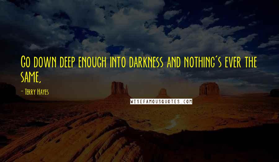 Terry Hayes quotes: Go down deep enough into darkness and nothing's ever the same,