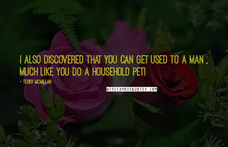 Terry McMillan quotes: I also discovered that you can get used to a man , much like you do a household pet!