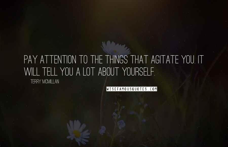 Terry McMillan quotes: Pay attention to the things that agitate you. It will tell you a lot about yourself.