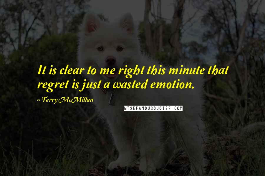 Terry McMillan quotes: It is clear to me right this minute that regret is just a wasted emotion.