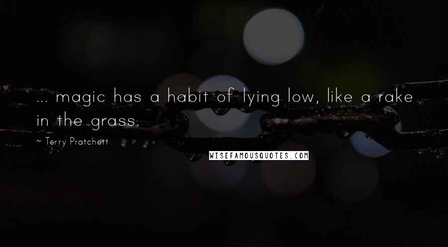 Terry Pratchett quotes: ... magic has a habit of lying low, like a rake in the grass.
