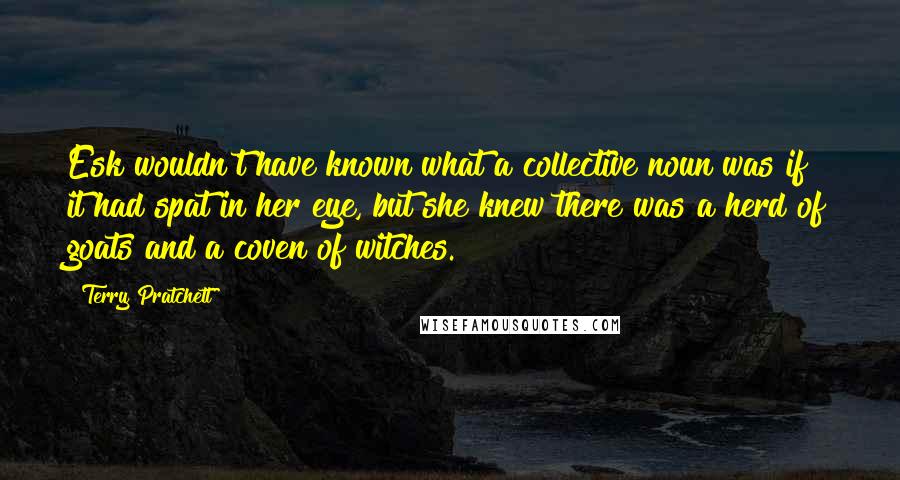 Terry Pratchett quotes: Esk wouldn't have known what a collective noun was if it had spat in her eye, but she knew there was a herd of goats and a coven of witches.