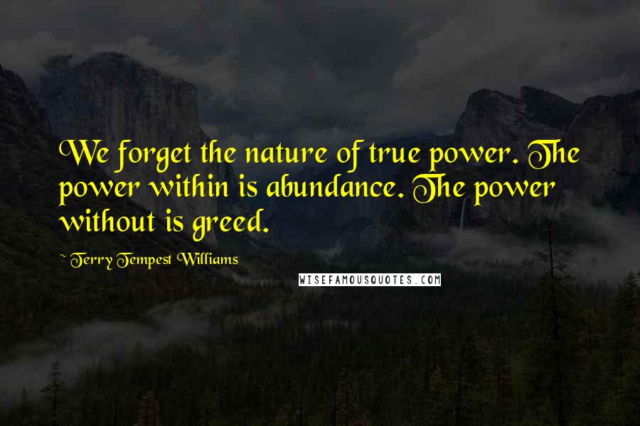 Terry Tempest Williams quotes: We forget the nature of true power. The power within is abundance. The power without is greed.