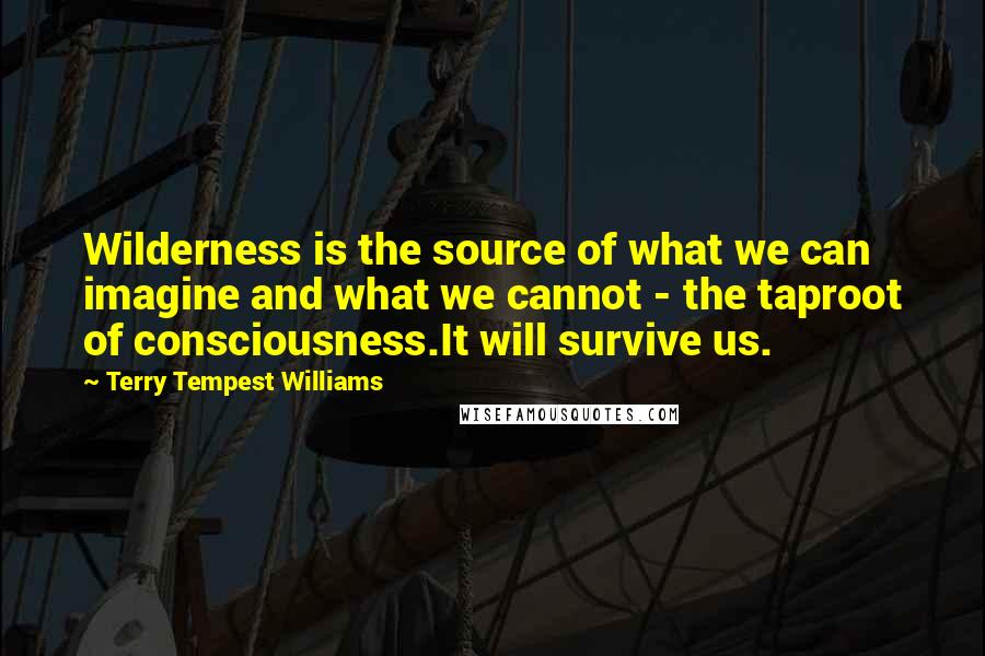 Terry Tempest Williams quotes: Wilderness is the source of what we can imagine and what we cannot - the taproot of consciousness.It will survive us.