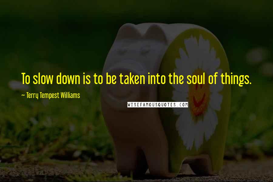 Terry Tempest Williams quotes: To slow down is to be taken into the soul of things.