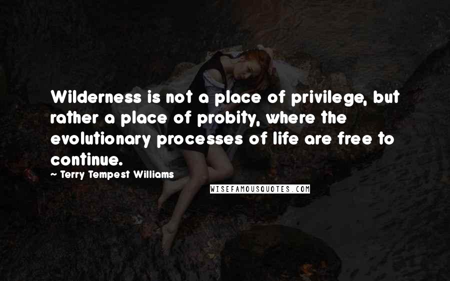 Terry Tempest Williams quotes: Wilderness is not a place of privilege, but rather a place of probity, where the evolutionary processes of life are free to continue.