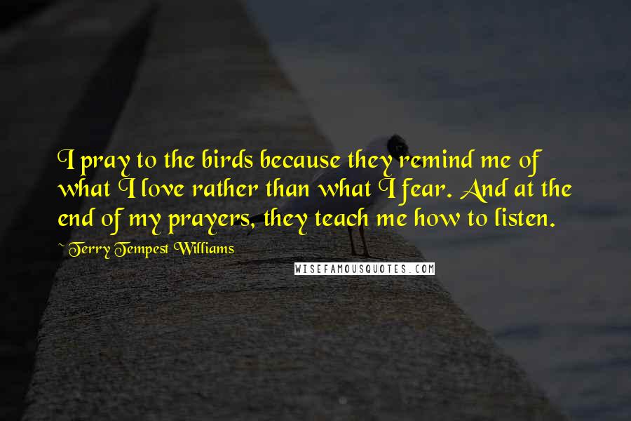 Terry Tempest Williams quotes: I pray to the birds because they remind me of what I love rather than what I fear. And at the end of my prayers, they teach me how to