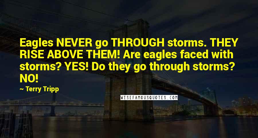 Terry Tripp quotes: Eagles NEVER go THROUGH storms. THEY RISE ABOVE THEM! Are eagles faced with storms? YES! Do they go through storms? NO!