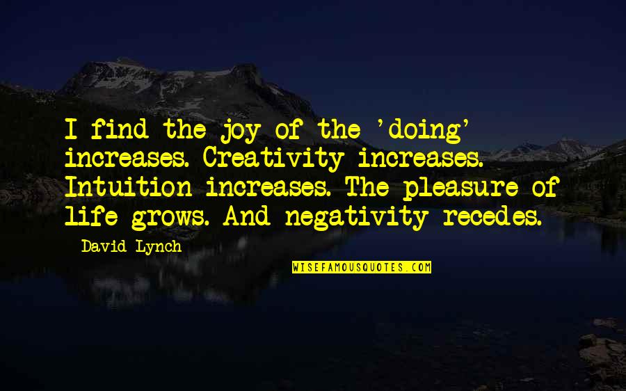 Tersa Quotes By David Lynch: I find the joy of the 'doing' increases. Tersa Quotes By David Lynch: I find the joy of the 'doing' increases.