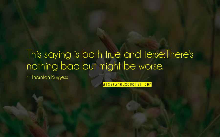 Terse Quotes By Thornton Burgess: This saying is both true and terse:There's nothing