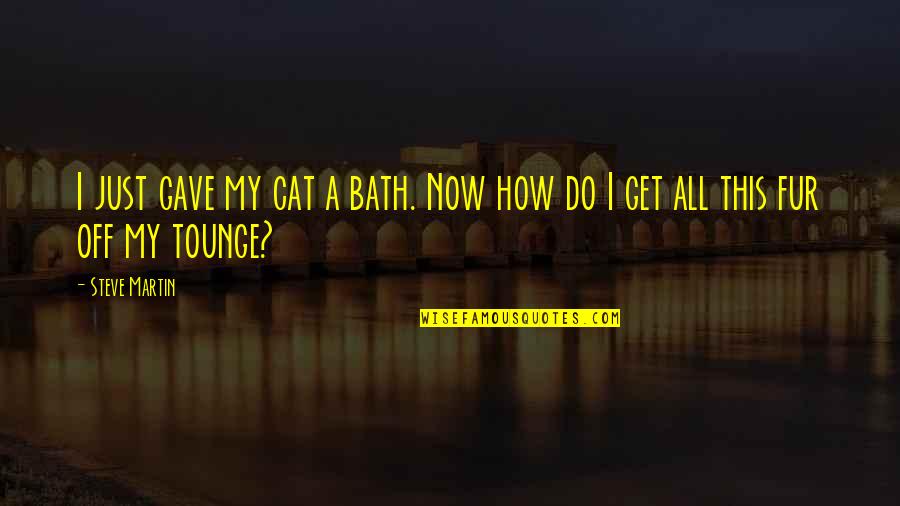 Terselubung Adalah Quotes By Steve Martin: I just gave my cat a bath. Now