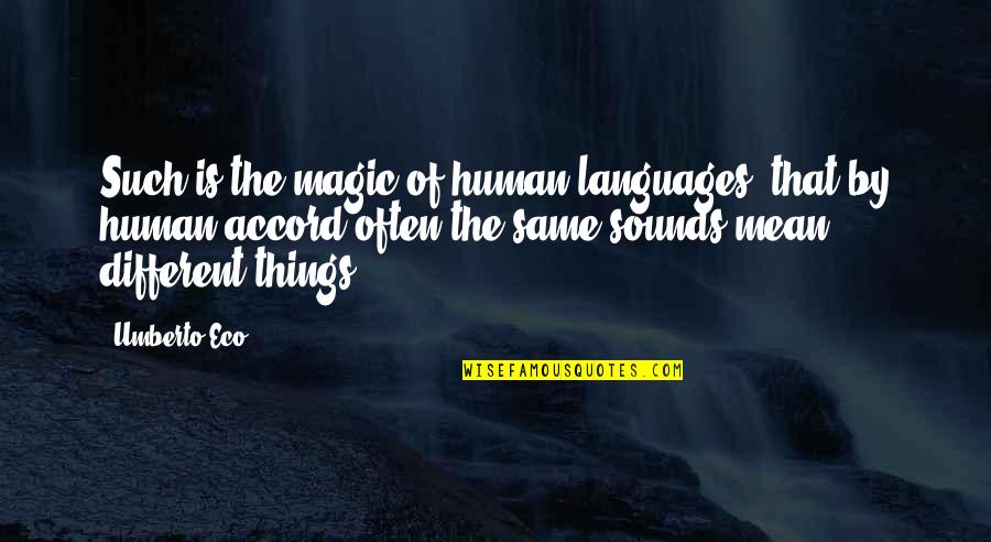 Tersine Bax Quotes By Umberto Eco: Such is the magic of human languages, that Tersine Bax Quotes By Umberto Eco: Such is the magic of human languages, that
