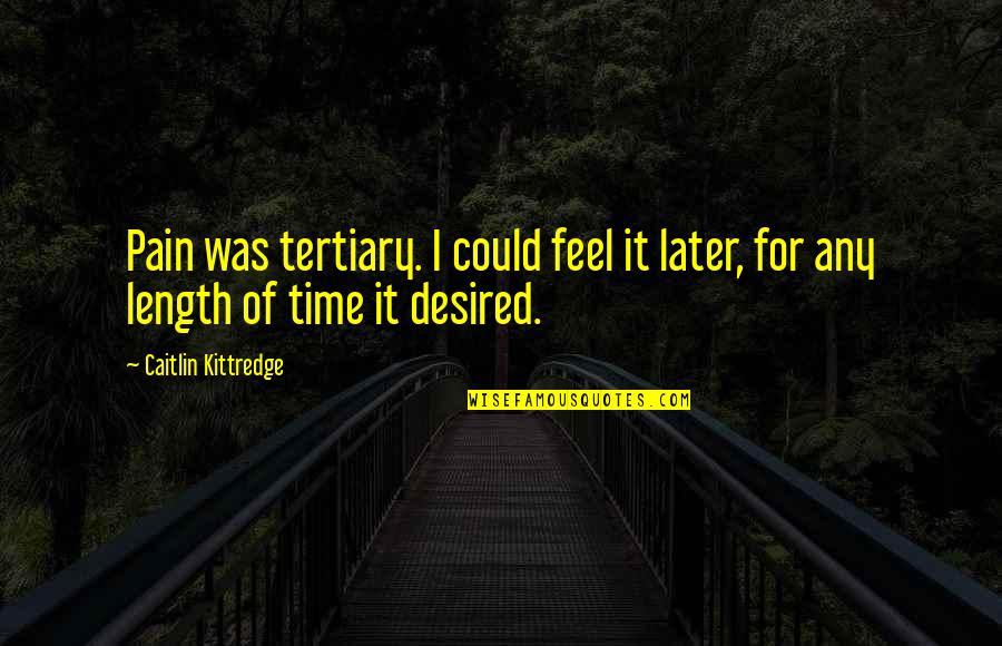 Tertiary Quotes By Caitlin Kittredge: Pain was tertiary. I could feel it later,