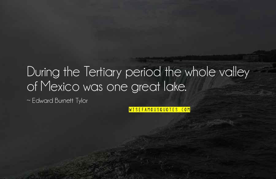 Tertiary Quotes By Edward Burnett Tylor: During the Tertiary period the whole valley of