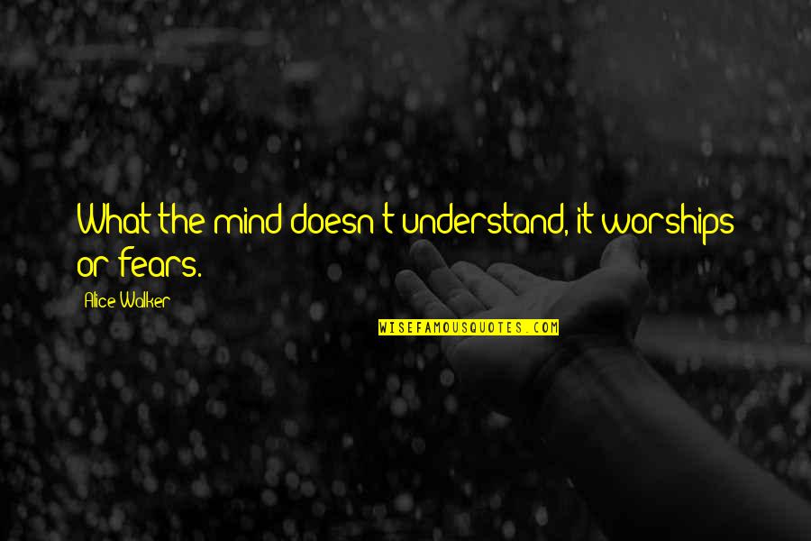 Teruja Maksud Quotes By Alice Walker: What the mind doesn't understand, it worships or Teruja Maksud Quotes By Alice Walker: What the mind doesn't understand, it worships or