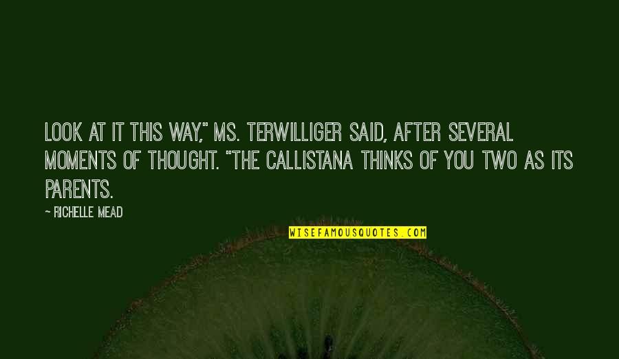Terwilliger Quotes By Richelle Mead: Look at it this way," Ms. Terwilliger said, Terwilliger Quotes By Richelle Mead: Look at it this way," Ms. Terwilliger said,