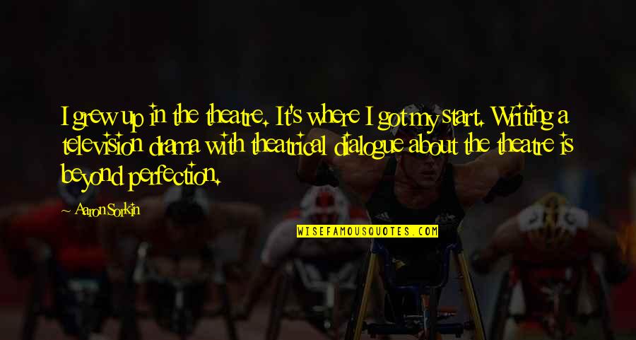 Tescats Quotes By Aaron Sorkin: I grew up in the theatre. It's where