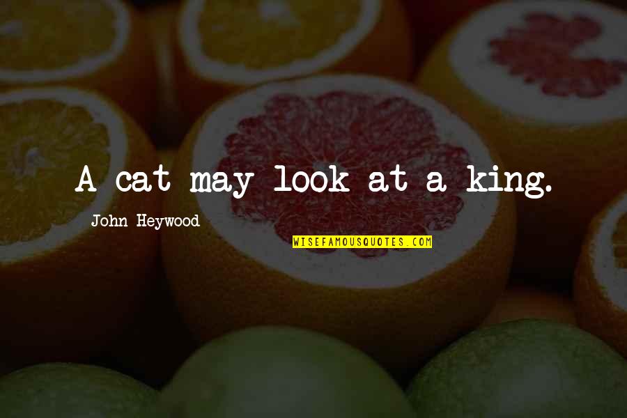 Teschio Disegno Quotes By John Heywood: A cat may look at a king.