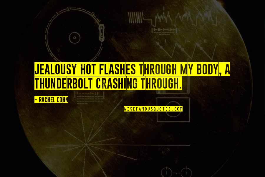 Teshome Tenkolu Quotes By Rachel Cohn: Jealousy hot flashes through my body, a thunderbolt