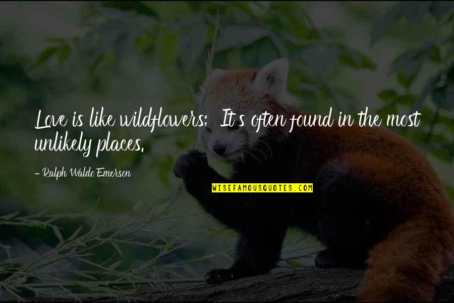Tesorero Estatal Quotes By Ralph Waldo Emerson: Love is like wildflowers; It's often found in Tesorero Estatal Quotes By Ralph Waldo Emerson: Love is like wildflowers; It's often found in