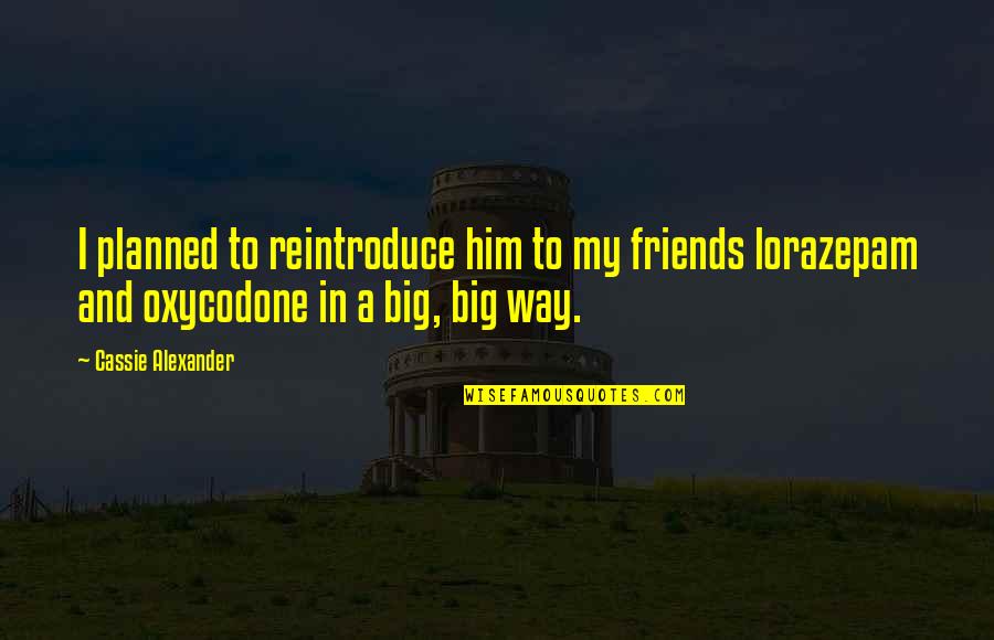 Tessaro Endodontic Clinic Quotes By Cassie Alexander: I planned to reintroduce him to my friends