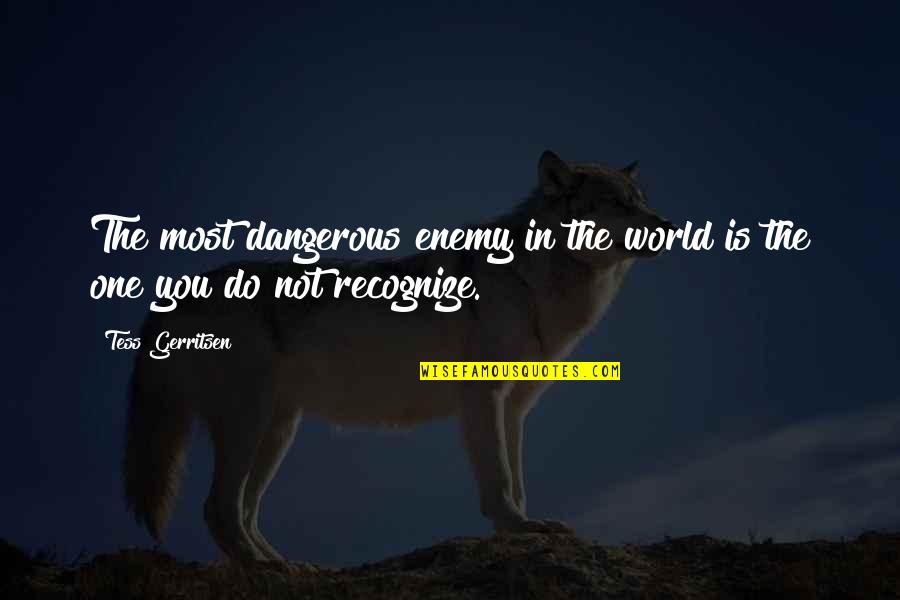 Tess's Quotes By Tess Gerritsen: The most dangerous enemy in the world is