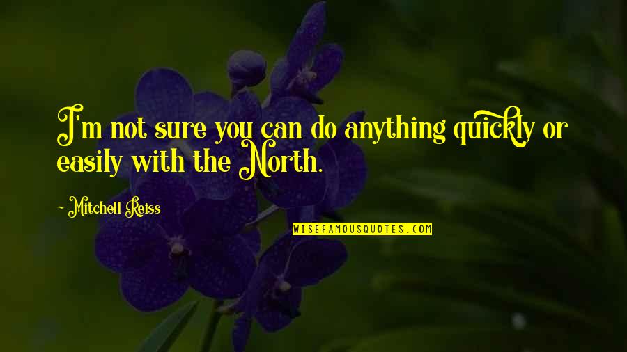 Tessuti Fabric Quotes By Mitchell Reiss: I'm not sure you can do anything quickly Tessuti Fabric Quotes By Mitchell Reiss: I'm not sure you can do anything quickly