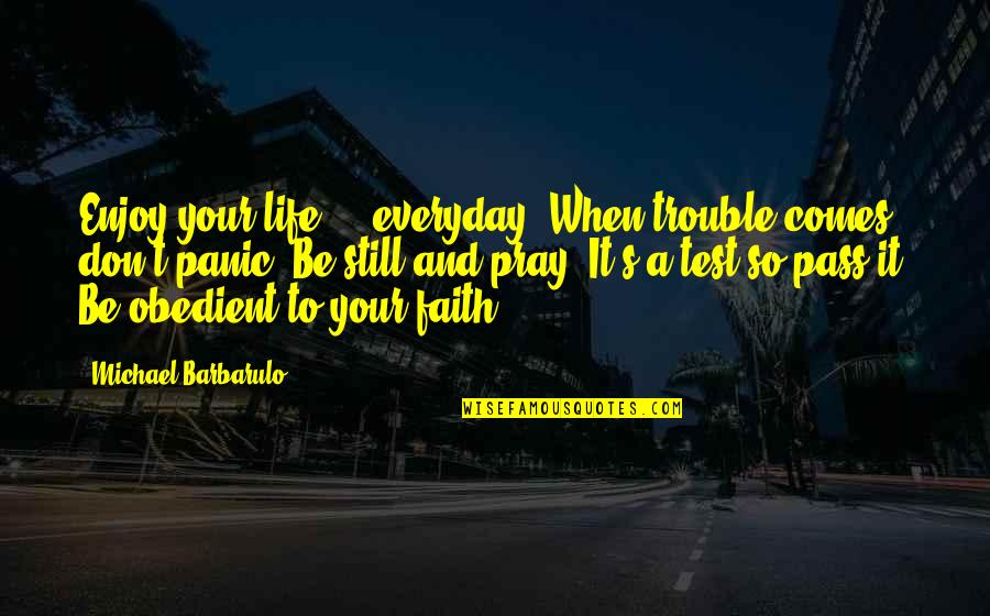 Test My Faith Quotes By Michael Barbarulo: Enjoy your life ... everyday. When trouble comes