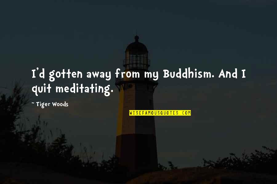 Test The Water Quotes By Tiger Woods: I'd gotten away from my Buddhism. And I Test The Water Quotes By Tiger Woods: I'd gotten away from my Buddhism. And I