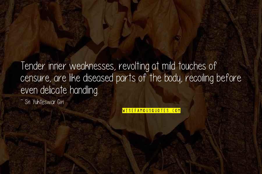 Testani Administrator Quotes By Sri Yukteswar Giri: Tender inner weaknesses, revolting at mild touches of Testani Administrator Quotes By Sri Yukteswar Giri: Tender inner weaknesses, revolting at mild touches of