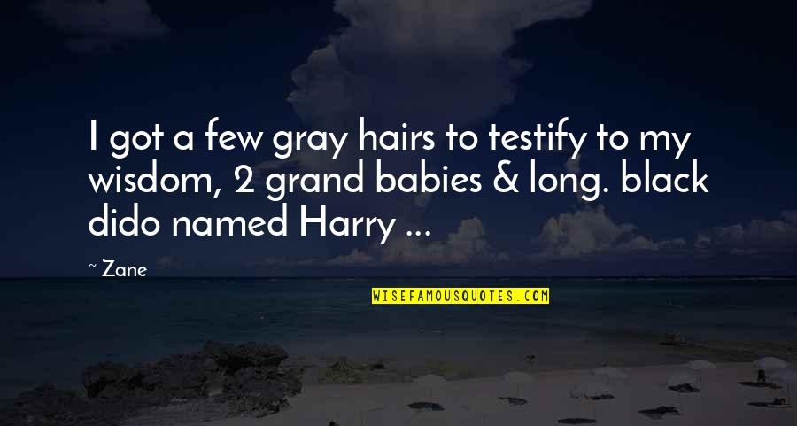 Testify Quotes By Zane: I got a few gray hairs to testify