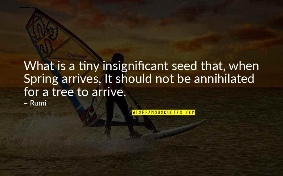 Testimonio Definicion Quotes By Rumi: What is a tiny insignificant seed that, when