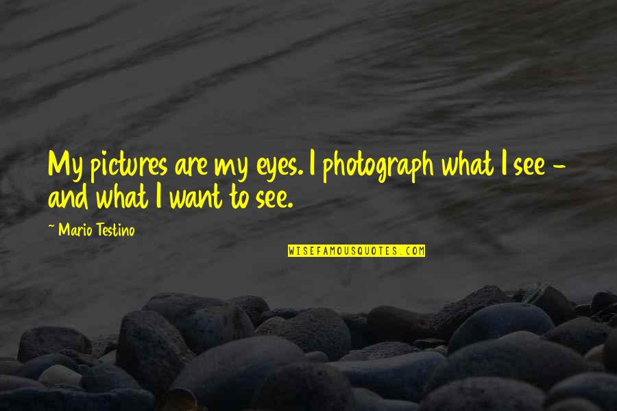 Testino Quotes By Mario Testino: My pictures are my eyes. I photograph what