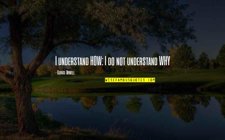 Testler Islemek Quotes By George Orwell: I understand HOW: I do not understand WHY