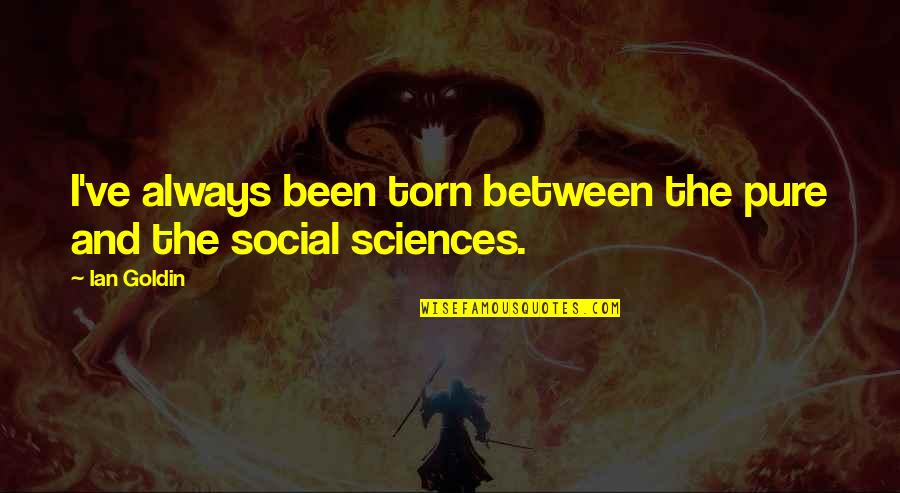 Testosterona Baja Quotes By Ian Goldin: I've always been torn between the pure and